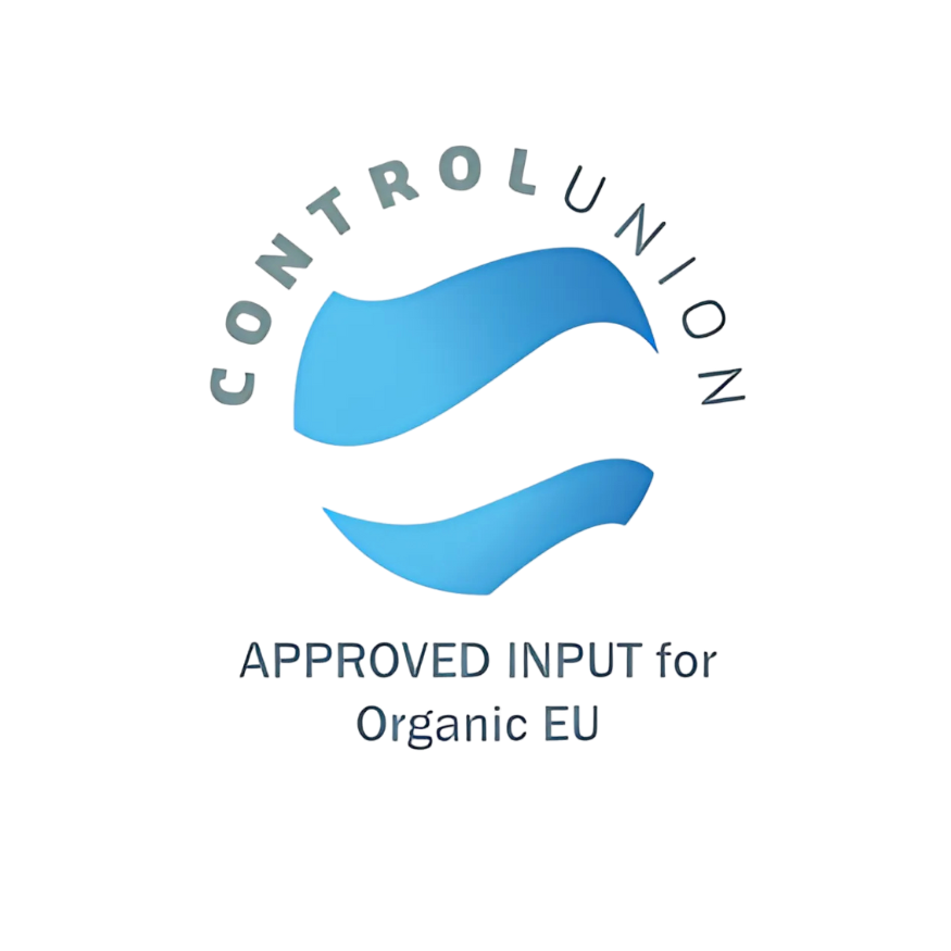 European Union Certificate